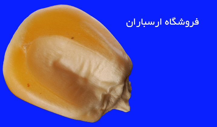 فروشگاه ارسباران